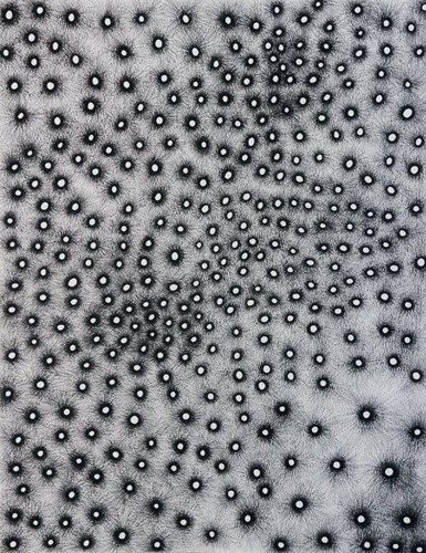 Corail restauration, 2011 - Dessin à la pierre noire