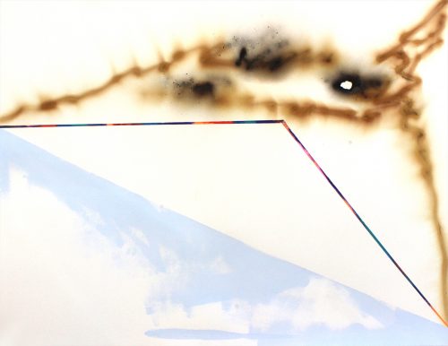 Bouleaux 3 - 2019, mixte sur papier,  46 x 61 cm