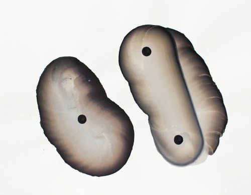 Sans titre - 2015, encre et gouache sur papier, 56 x 76 cm