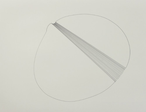 Без названия - 2015, Бумага, смешанная техника, 51 x 66 CM