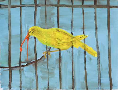 Serin dans sa cage - 2022, acrylique sur papier, 57 x 76 cm