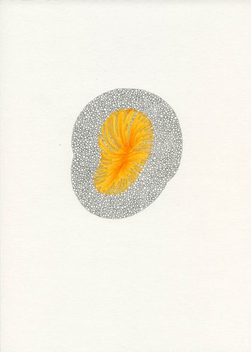 Z16_021 - 2016, Fusain sur papier,
29,7 x 21 cm