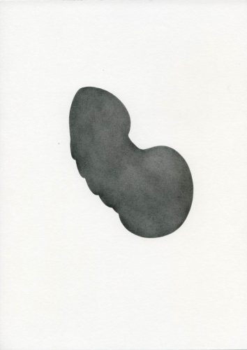 Z16_043 - 2016, Fusain sur papier,
29,7 x 21 cm