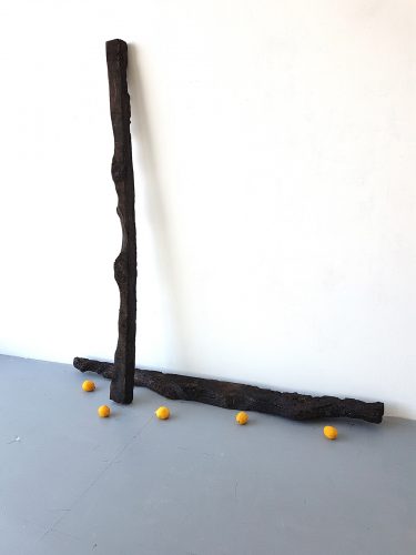 Sans titre ( Bois brûlé ) - 2019. bois, citrons, 180 x 180 x 30 cm