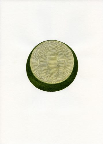 Z18_043 - 2018, Mixte sur papier, 29,7 x 21 cm