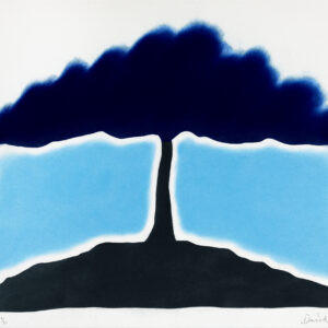 Nash David - Blue Shade