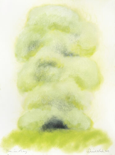 Tree in May - 2019, pigment sur papier, 76 x 57 cm
