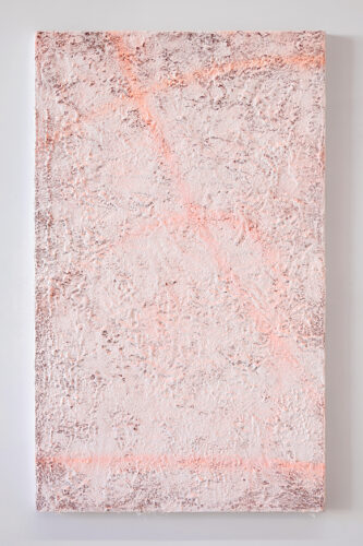 Snow make-up - 2022, acrylique et terre sur coton, sur bois, 120 x 72 cm