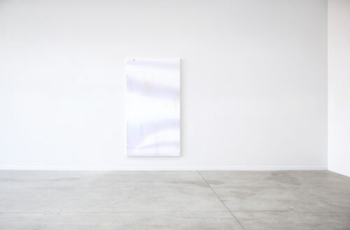 Snow  field - 2021, acrylique et impression UV sur coton, sur bois et aluminium, 220 x 120 cm