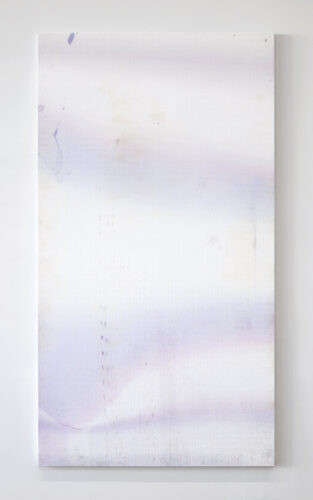Snow  field - 2021, acrylique et impression UV sur coton, sur bois et aluminium, 220 x 120 cm (détail)