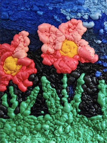 Fleurs avec vues